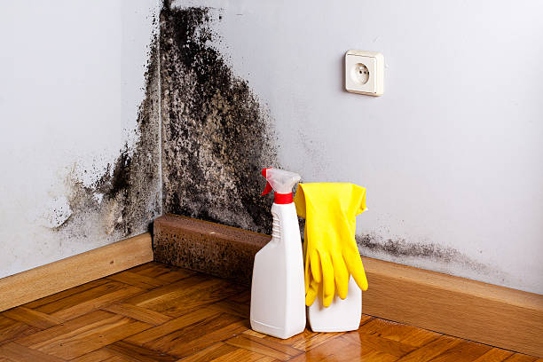 Crawl Space Mold Removal in Dayton, IN